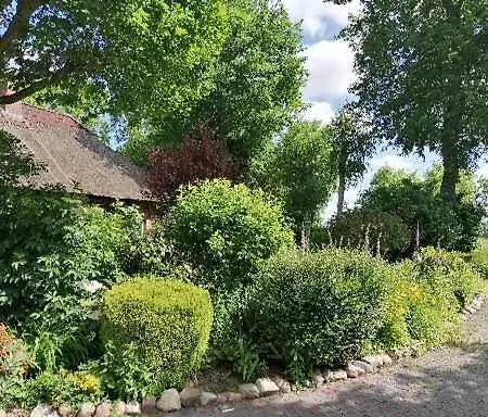 Ferienwohnung Gluecklich Apartment Ovelgonne