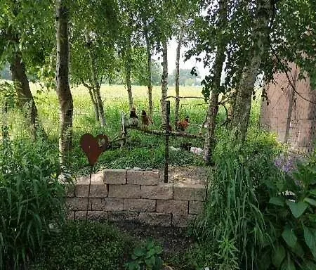 Apartment Ferienwohnung Gluecklich *